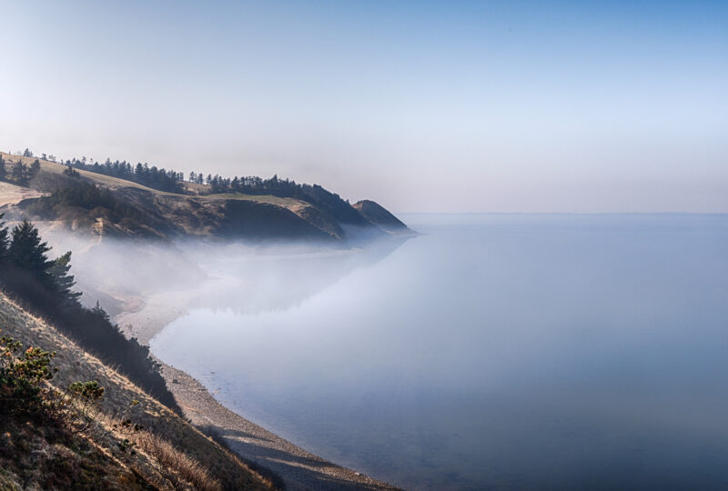 Flade Klit, Mors, mar. 2022