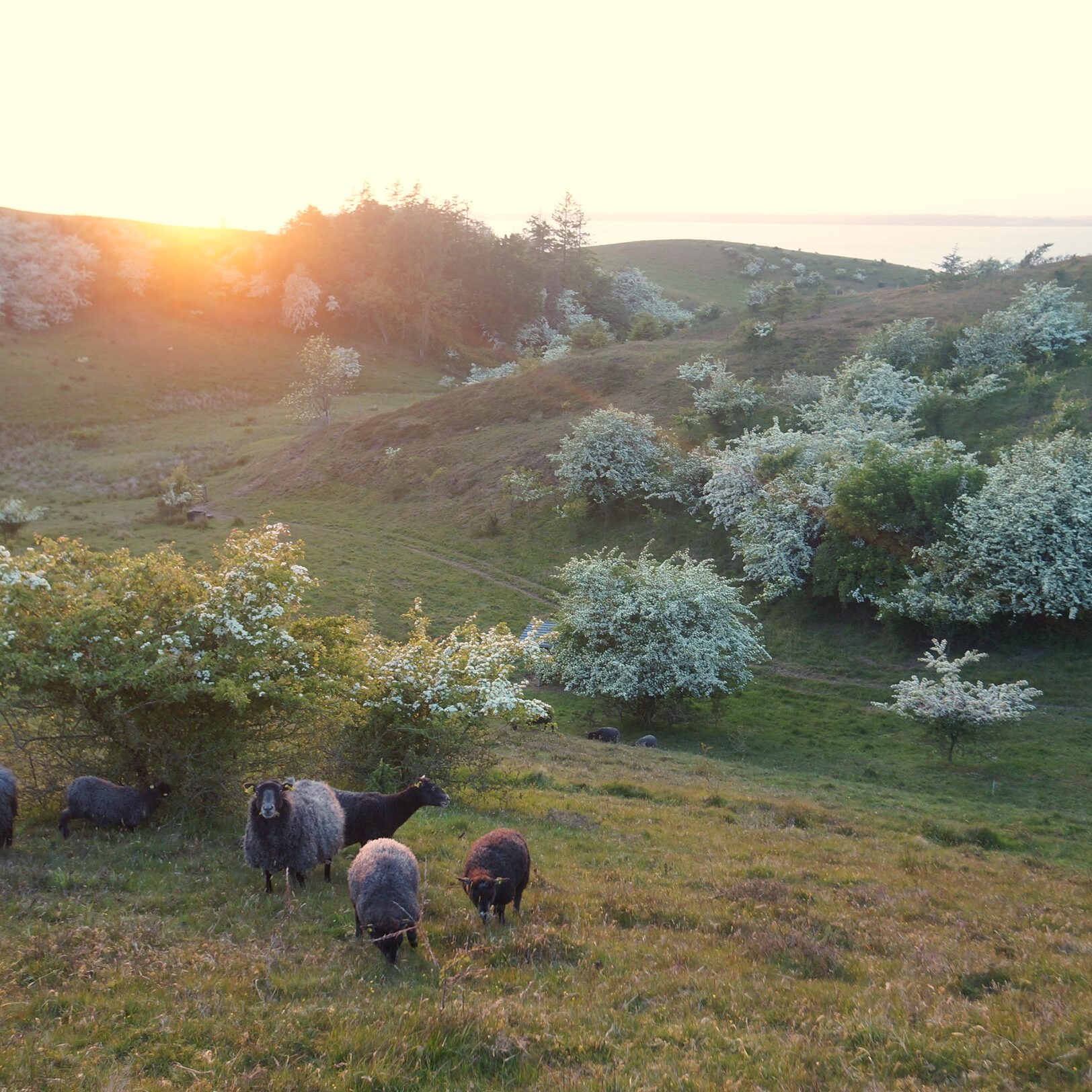 aug. 2023 &copy; Dorethes B&B