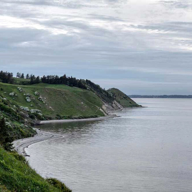 Flade Klit, Mors, maj 2019 &copy; fraka.dk