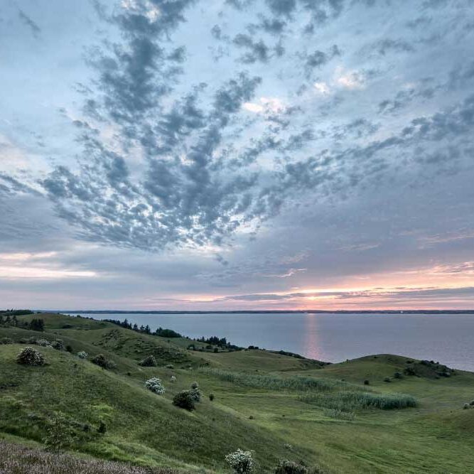 Flade Klit, Mors, juni 2019 &copy; fraka.dk