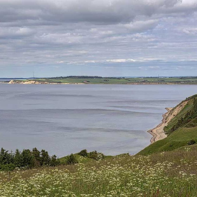 Flade Klit, Mors, juni 2015 &copy; fraka.dk